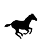 Paard (V)